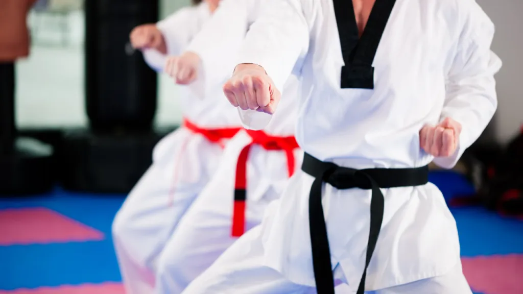 Two taekwondo students in white doboks with red and black belts practising punches