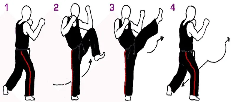 Four-step diagram showing how to perform a taekwondo front kick