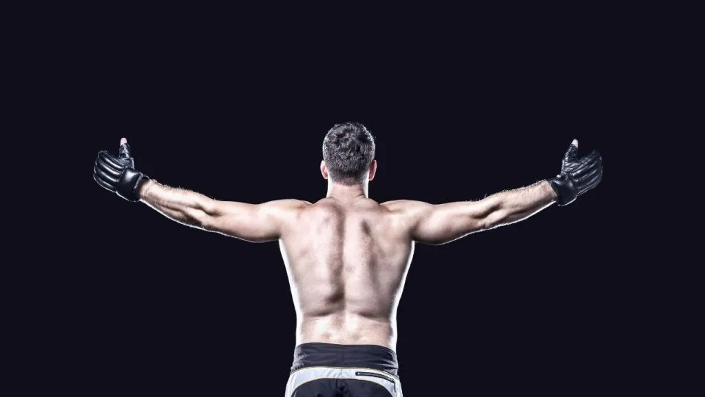 Fighter in MMA gloves seen from behind with arms spread wide