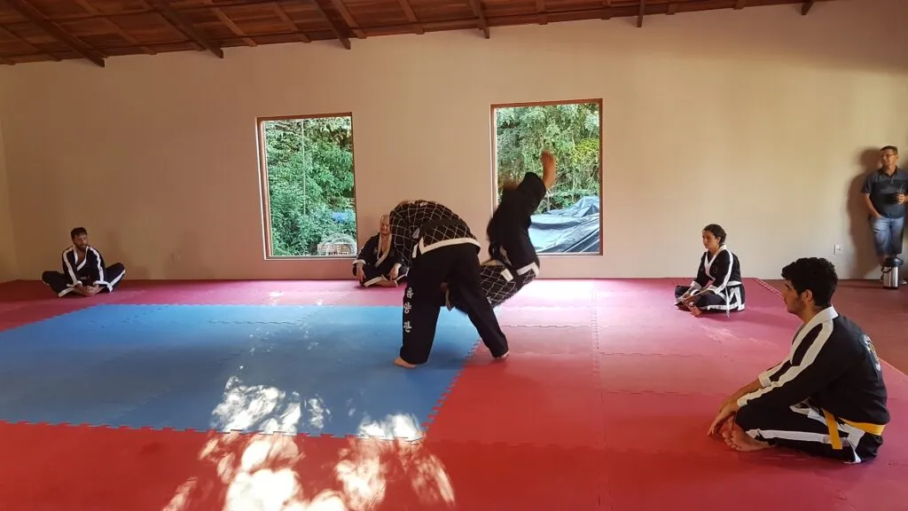 Instructor demonstrating a throw to students seated around the mat in a sunlit dojo