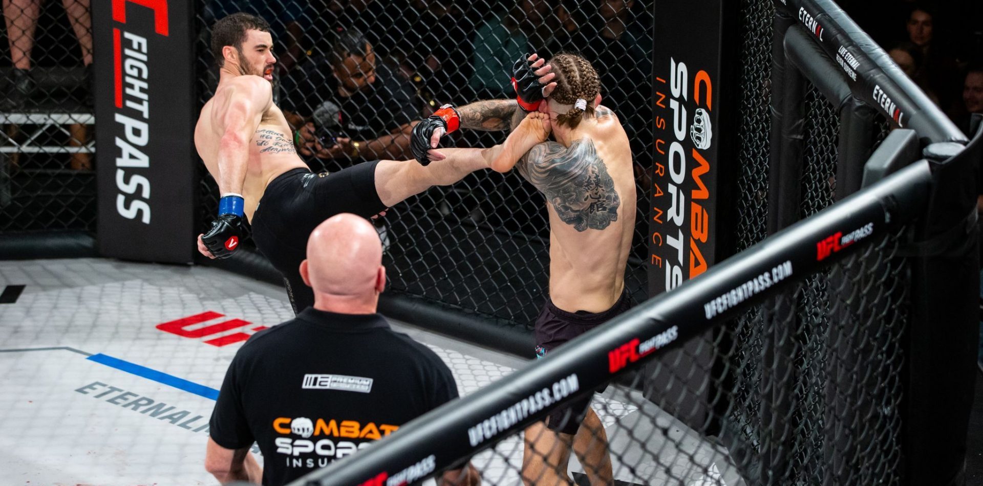 Live mixed martial arts action inside a cage